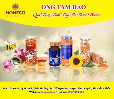 Ong Tam Đảo - Honeco khai trương văn phòng đại diện tại Điện Biên
