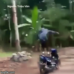 Video: Đứng trên yên xe máy đang chạy, thanh niên ngã dập mặt