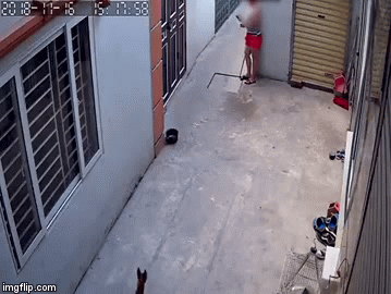 Video: Người phụ nữ lăm lăm cầm cây gậy vung “cú đánh trời giáng” vào chó hàng xóm