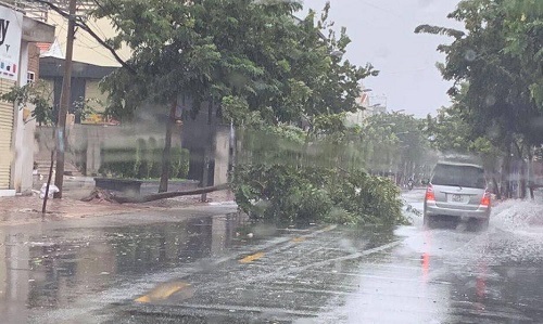 Bão số 9 suy yếu thành áp thấp nhiệt đới, mưa lớn tại Sài Gòn