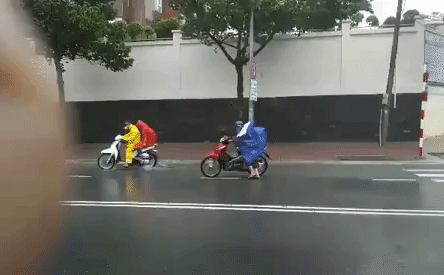 Video: Bão số 9 đổ bộ, gió lớn quật ngã người đi xe máy, cây xanh đổ rạp