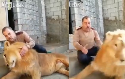 Video: Vô tình đập vào đầu sư tử, người đàn ông suýt mất mạng