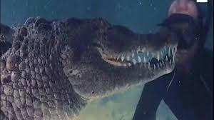 Video: Rùng mình cảnh thợ lặn đối đầu với 