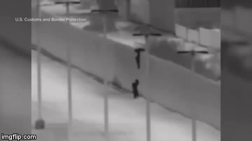 Video: Sốc cảnh trẻ em được thả từ tường biên giới cao hơn 5m để vào Mỹ