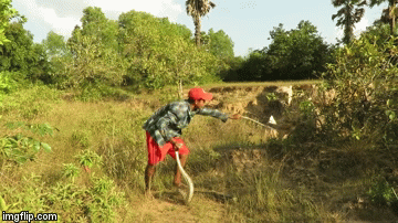 Video: Rợn người cảnh thanh niên bắt sống trăn 