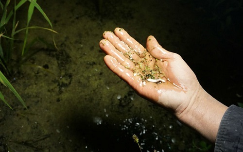 Thanh Hóa: 4.000 lít dầu từ cây xăng tràn ra môi trường, nhiều người dân phải sơ tán