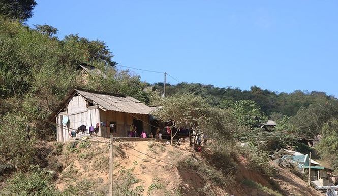 Nghi vấn nam thanh niên chết bất thường do ăn lá ngón tự tử tại nhà bố mẹ vợ