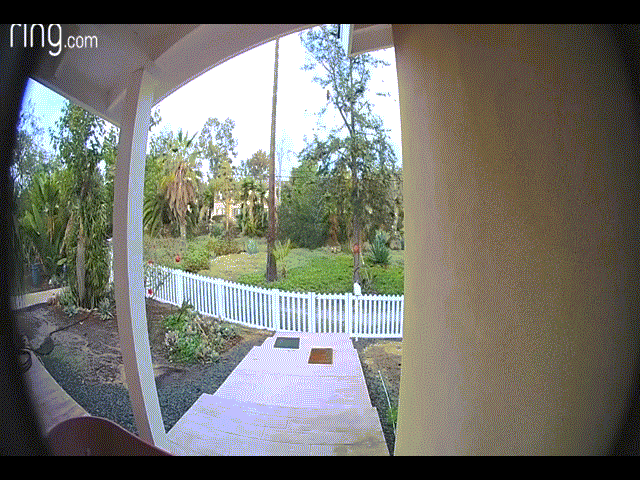 Video: Đột nhập nhà dân, sói chạy té khói khi bị chó rượt đuổi