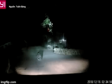 Video: Người đàn ông ngồi