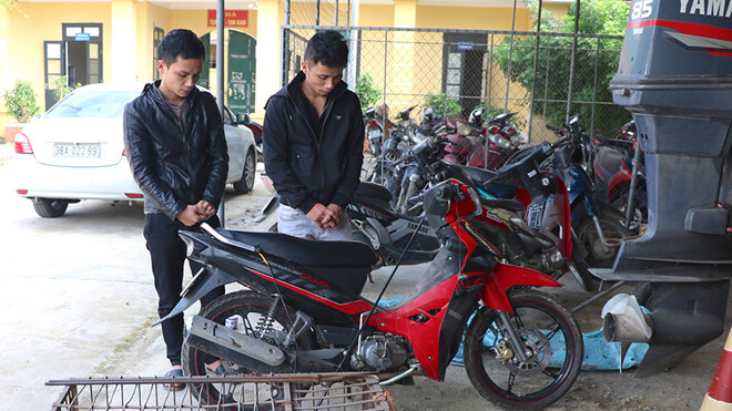 Hai anh em ruột “phối hợp” trộm hàng trăm con chó bán cho mẹ vợ của em trai