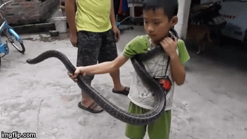 Video: Lạnh người xem cậu bé ở Quảng Ninh lên báo Anh vì tay không bắt rắn 2 mét