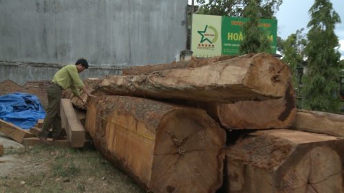 Phát hiện bãi gỗ lớn giấu gần kho doanh nghiệp ở Kon Tum