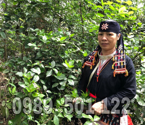 Khỏi bệnh xương khớp nhờ 