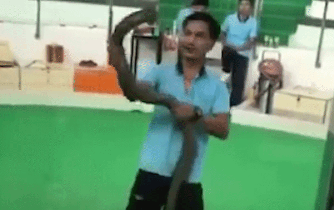 Video: Bị trêu, rắn nổi điên cắn đầu nam thanh niên