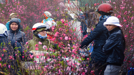 Thời tiết Tết Nguyên đán Kỷ hợi 2019: Miền Bắc rét đậm, rét hại?