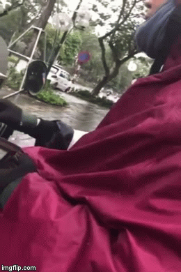 Cô gái tố đi 