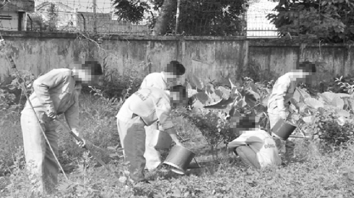 Những mảnh đời lầm lỡ vùng vẫy trong vòng xoáy ma túy để thay đổi số phận (Bài 1): Bi kịch cuộc đời từ một lần “thử chơi”