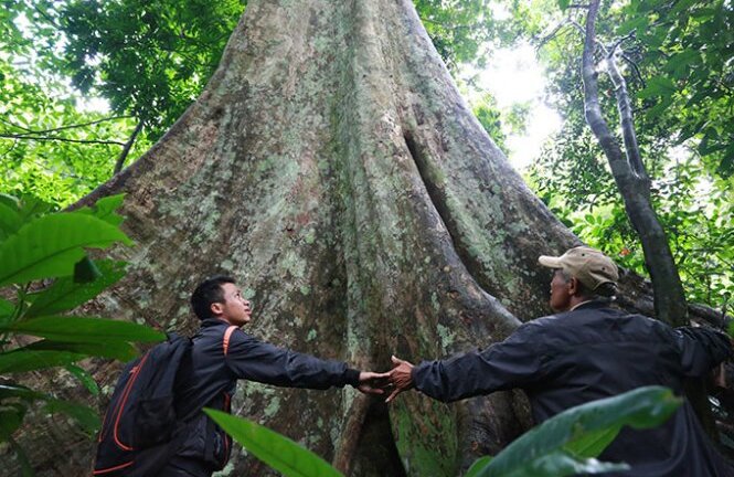 Giai thoại tình yêu trái ngang trong khu rừng nguyên sinh ở Tây Nguyên