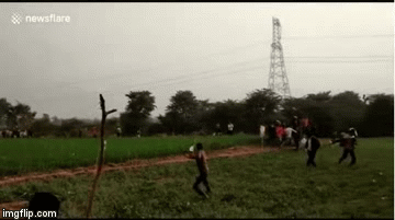 Video: Báo hoang ẩn mình trong đồng lúa, bất ngờ lao ra vồ liên tiếp 3 người ở Ấn Độ