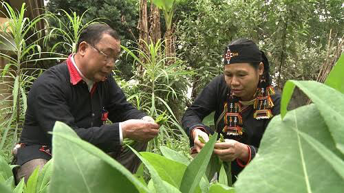 Chuyện về vị lương y sở hữu hơn 500 thảo dược quý, cứu sống hàng ngàn người bị xương khớp
