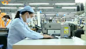 Phát triển hàng hóa chủ lực của các địa phương là mục tiêu cần được đẩy mạnh