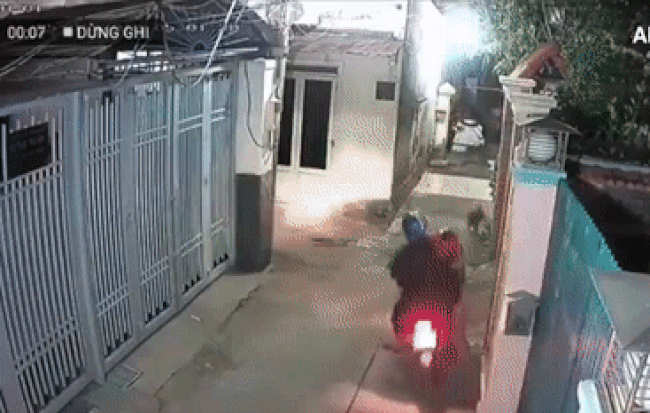 Clip 