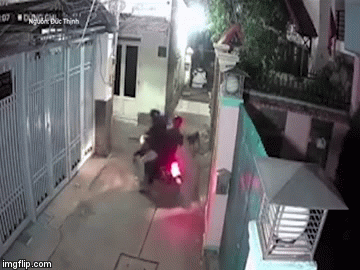 Video: Câu trộm chó bất thành, 