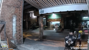 Video: Kẻ gian nhanh như cắt giật mất gà cúng giao thừa ngay trước mặt gia chủ