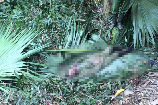 Hà Tĩnh: Người đàn ông  chết trong rừng ngày mùng 3 Tết nghi bị voi quật