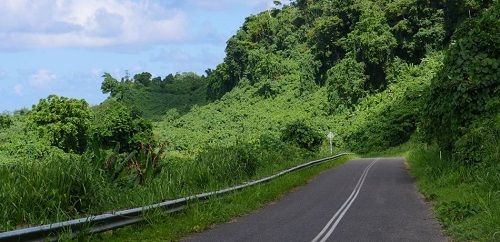 Tài xế xe tải ở Indonesia suýt chết sau khi dùng Google Maps để đi qua vách đá