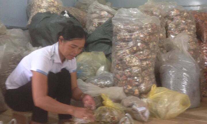 Bài thuốc nam với dược tính cao đẩy lùi bệnh xương khớp của lương y Triệu Thị Hòa