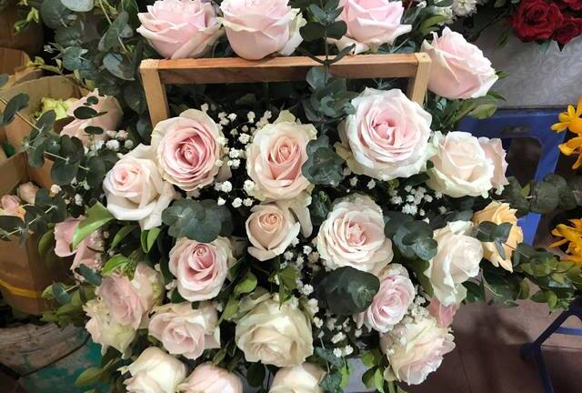 Các bóng hồng chờ đợi điều gì ngày Valentine?