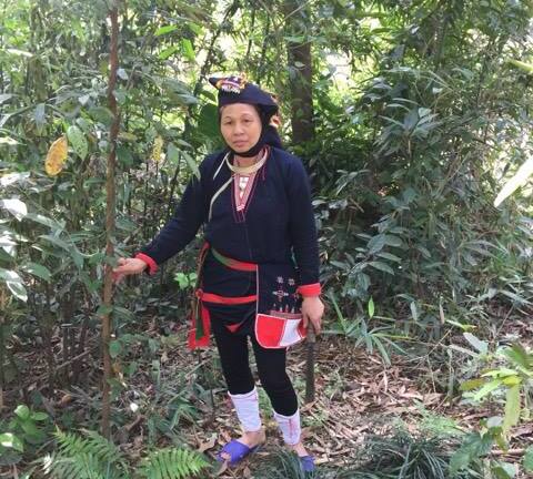 “Thần y núi Tản” công bố thảo dược xóa tan bệnh xương khớp hợp với thể trạng người Việt
