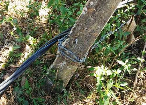 Tin tức thời sự 24h mới nhất ngày 18/2/2019: Đi qua hàng rào nhiễm điện, 2 vợ chồng chết thảm