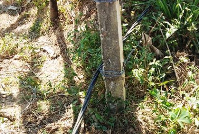 Vụ đôi vợ chồng bị điện giật ở vườn chuối: Giám đốc điện lực nói không liên quan