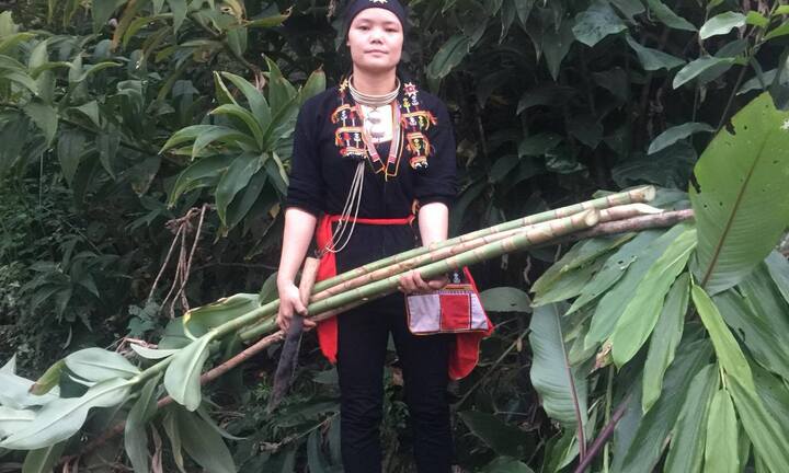 Hé lộ những “vị thuốc khắc tinh” của bệnh tiểu đường tuýp 2 cứu sống hàng vạn người
