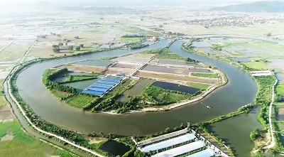 Hơn 10 năm cải tạo vùng bãi chua phèn thành trang trại sinh thái hút khách