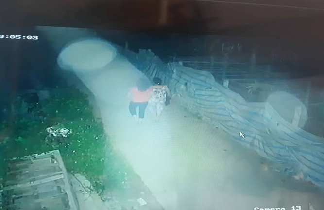 Thu thập video ghi hình người phụ nữ đi thể dục trước khi bị sát hại