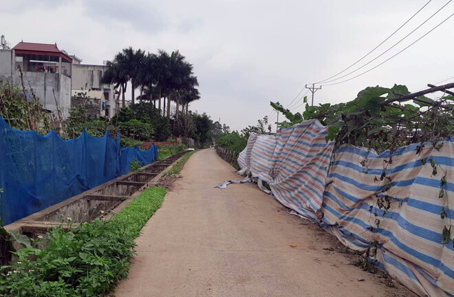 Vụ người phụ nữ đi tập thể dục bị sát hại: Giám định vân tay trên con dao dính máu tại hiện trường