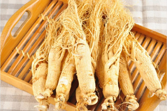 Nhân sâm - Bảo bối phòng the dành cho nam giới