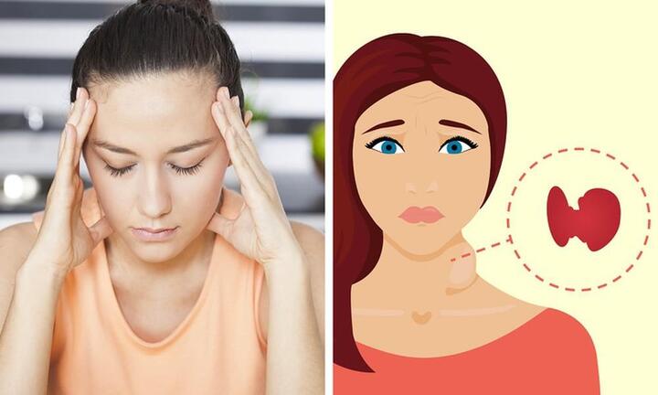 Công dụng của Đông trùng hạ thảo đối với hệ thống nội tiết và cơ thể người