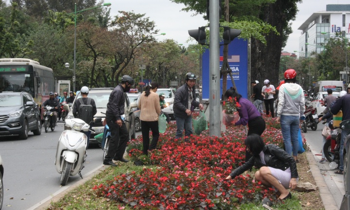 Vụ nhiều người “hôi” hoa trang trí sau thượng đỉnh Mỹ - Triều: Đề nghị trích xuất camera làm rõ