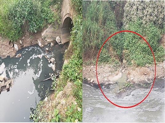 Phúc Thọ (Hà Nội): Dòng sông bốc mùi hôi thối, đặc quánh chất thải quanh năm?