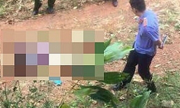 Phát hiện thi thể người phụ nữ trong vườn cam, bên cạnh là nắm lá ngón