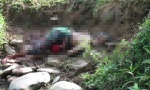 Đi đánh cá, bàng hoàng phát hiện thi thể nam giới không nguyên vẹn dưới suối