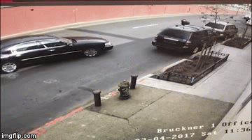 Video: Tưởng chạy thoát cảnh sát, không ngờ bị bắt vì chiếc quần tụt 