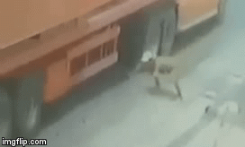 Video: Lao vào gầm xe kiểu cảm tử, người đàn ông thoát chết khó tin
