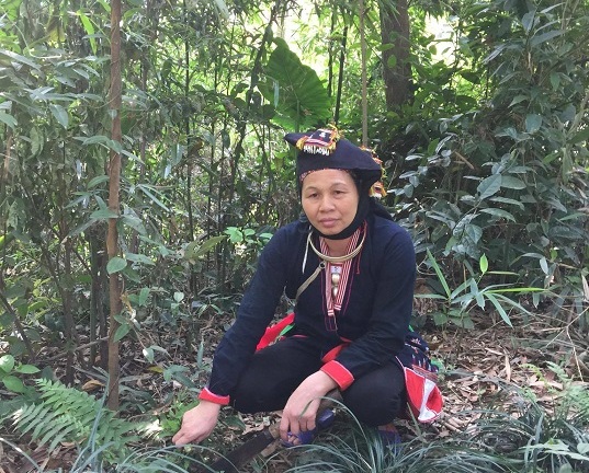 Vị lương y