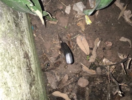 Nam Định: Điều tra nghi án anh trai đâm chết em ruột vì mâu thuẫn sau chầu nhậu