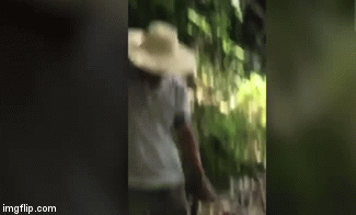 Video: Mải mê nắm chặt rắn dài 1 mét chụp ảnh, người đàn ông gặp cái kết thảm khốc